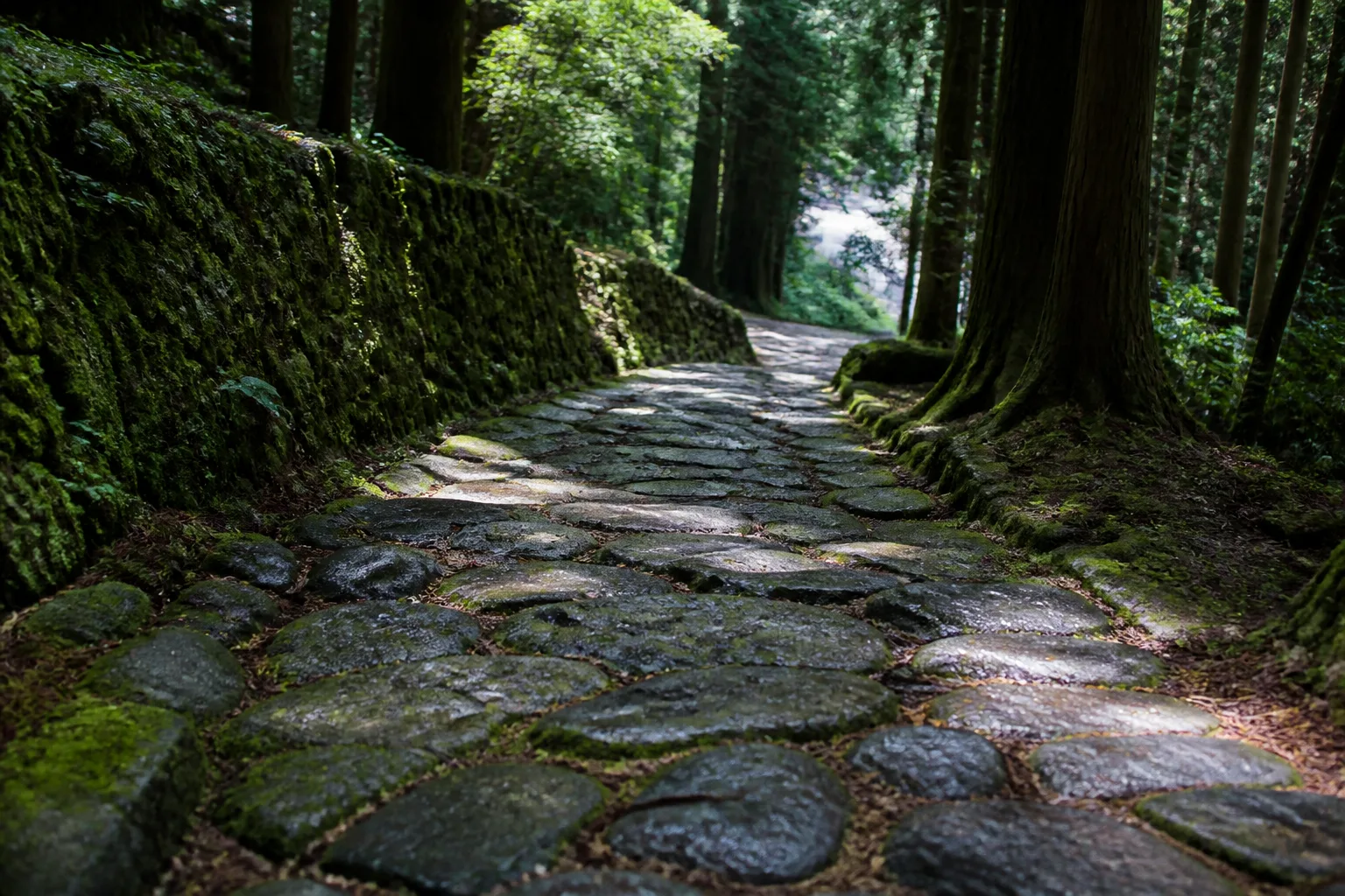 苔むした箱根旧街道の石畳をゆっくり歩く旅人