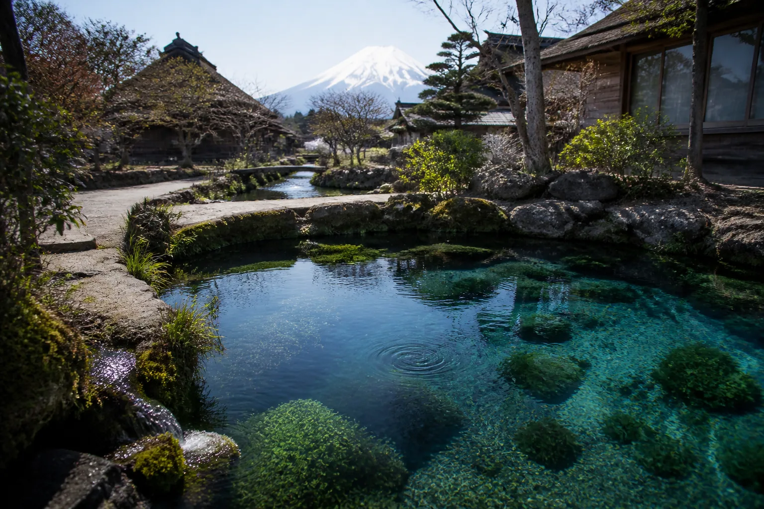忍野の澄んだ湧水、水路、富士山麓の朝の光を描いた編集画像